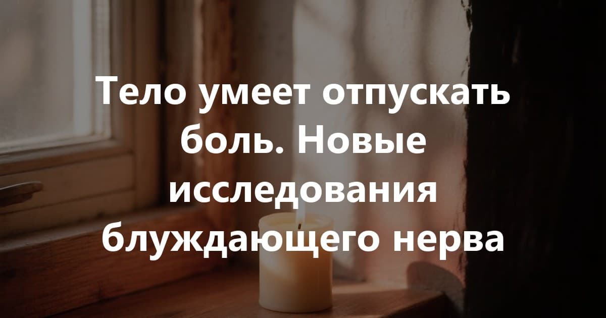 Боль с 10/10 до 0/10: что наука умеет с блуждающим нервом